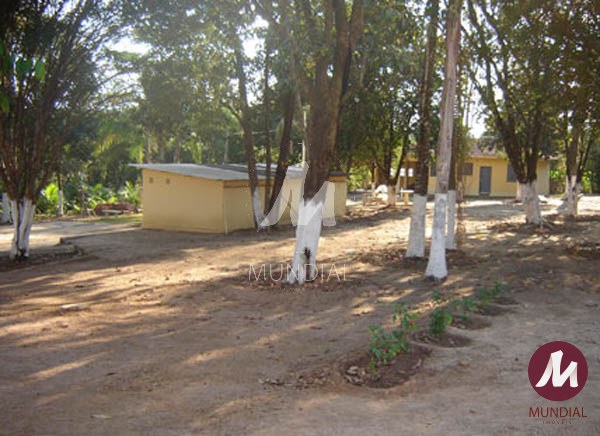 Outras — foto 12