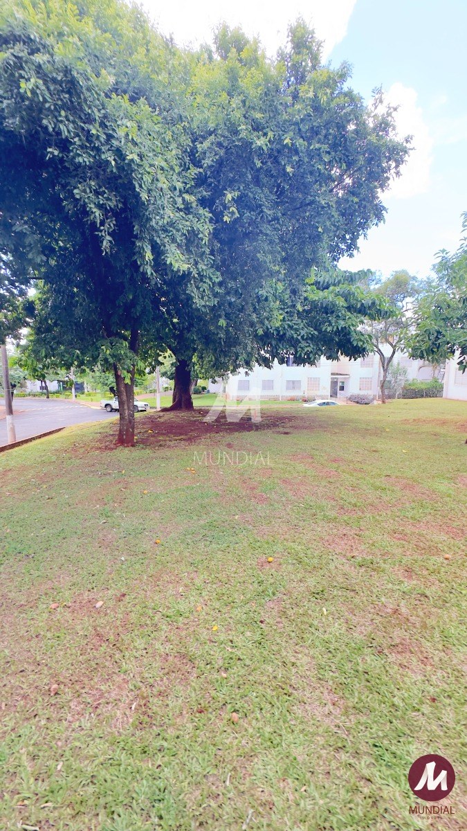 Jardim — foto 21