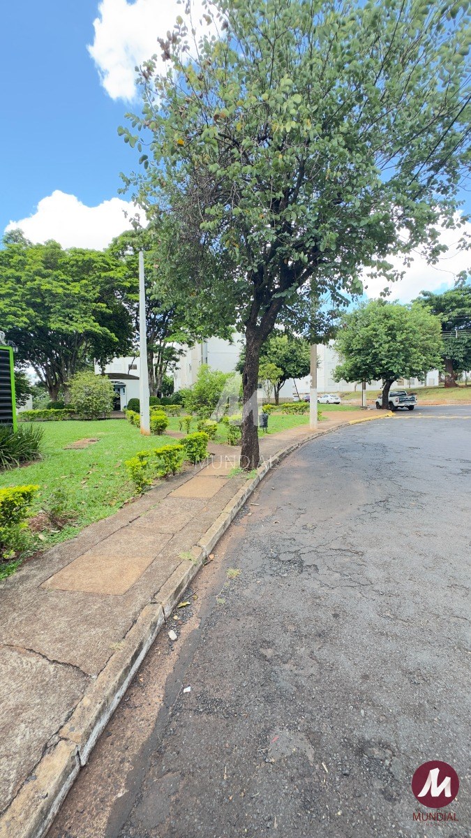 Jardim — foto 23