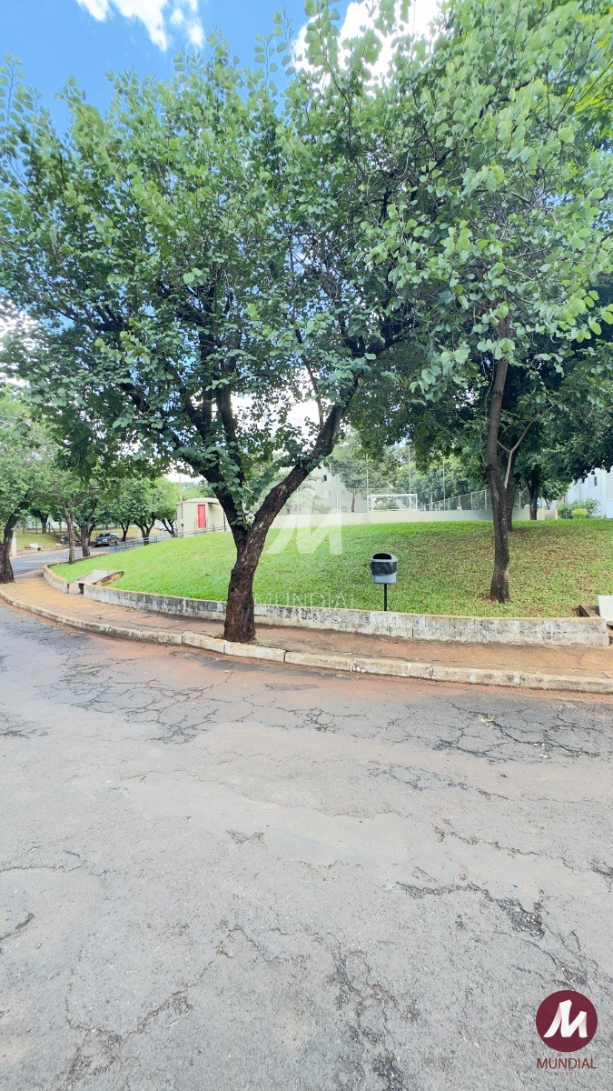Jardim — foto 24
