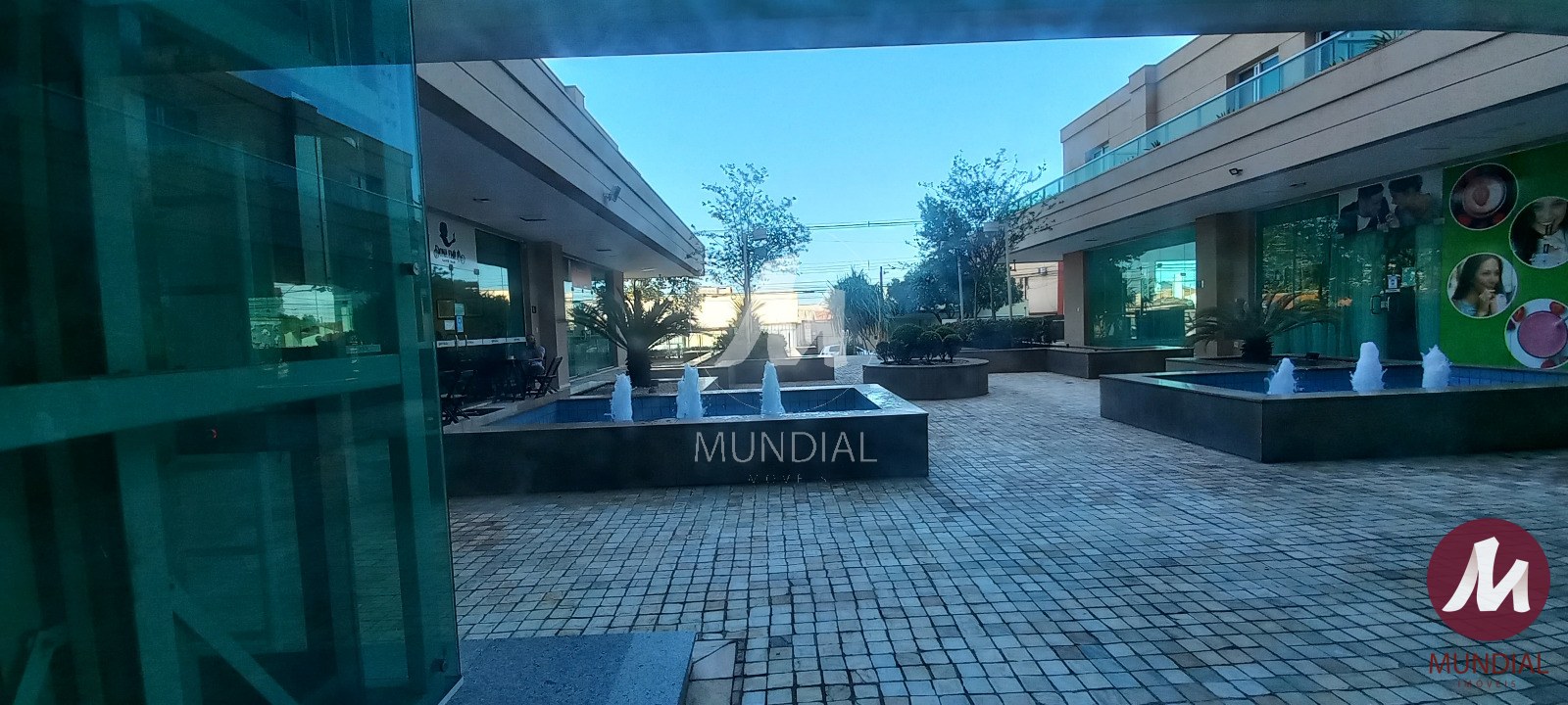 Jardim — foto 5