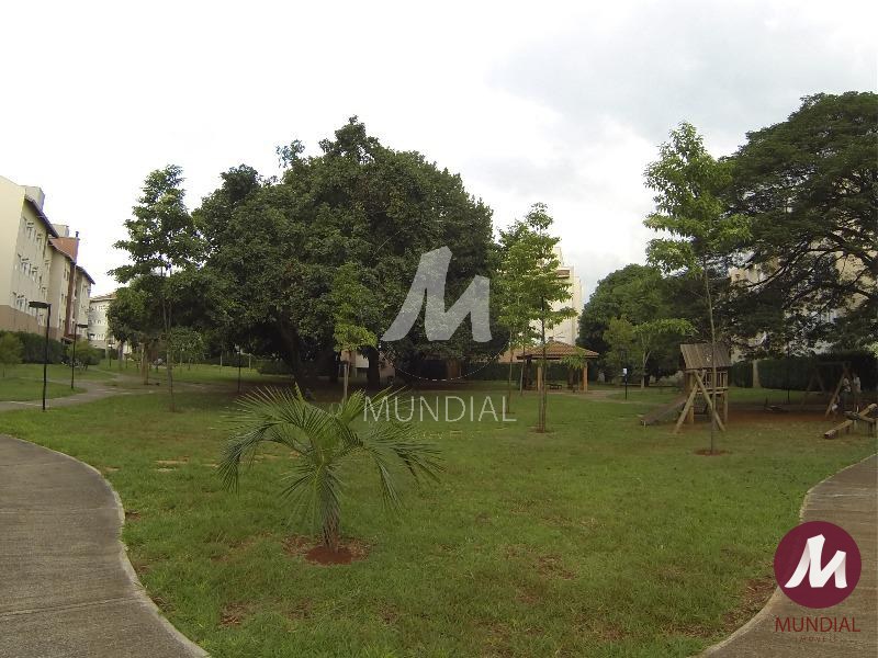 Outros — foto 4