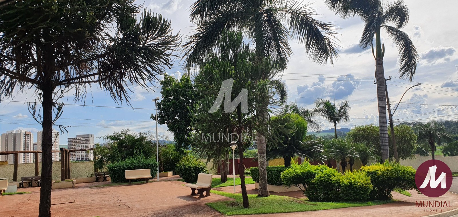 Jardim — foto 39