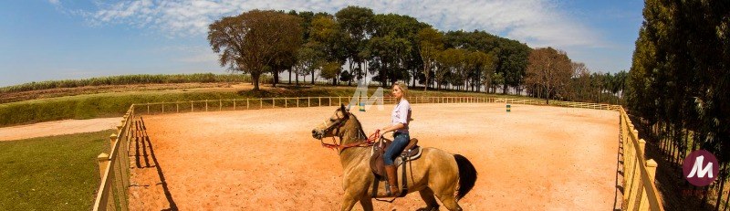 Outros — foto 43