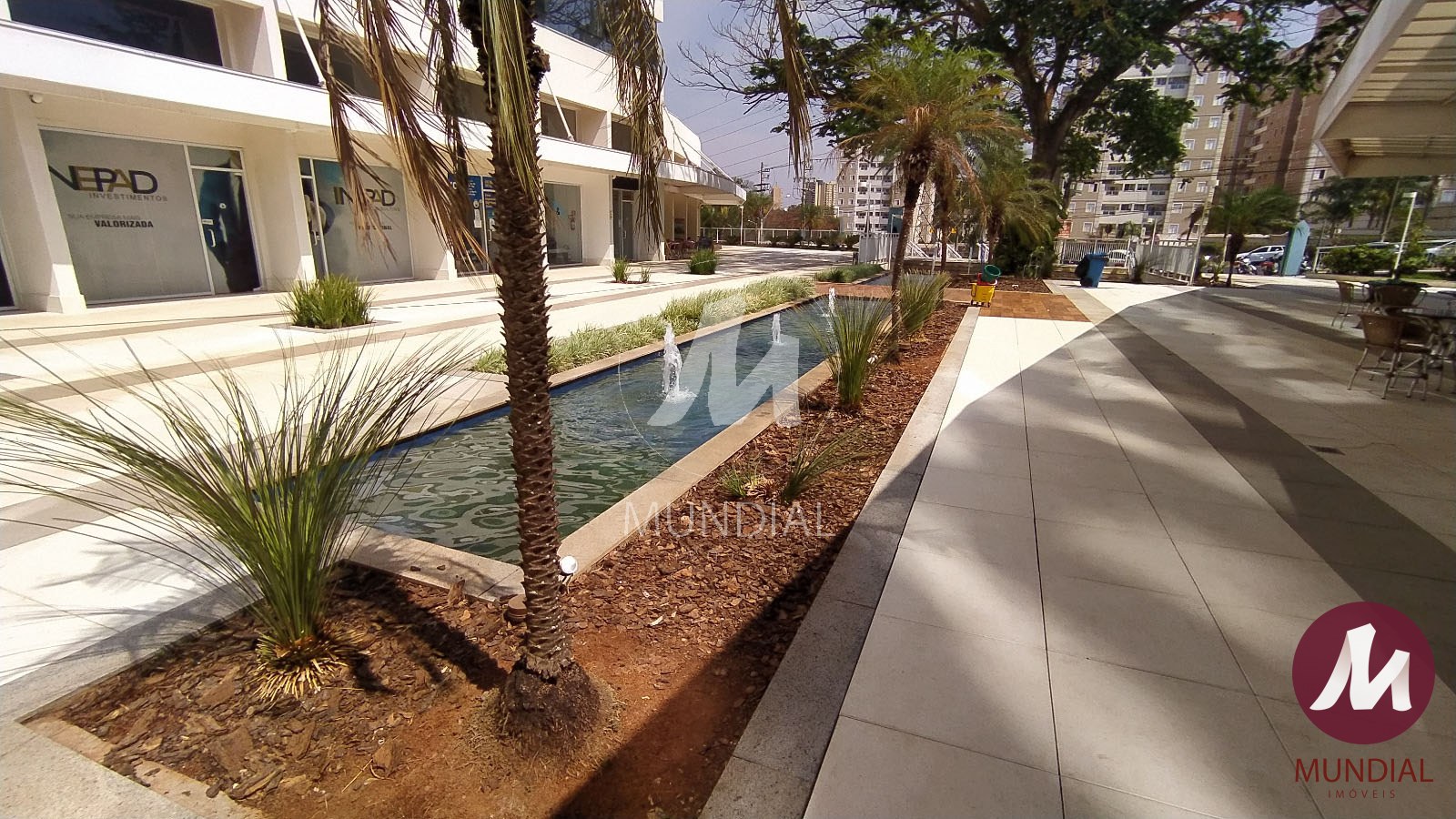 Jardim — foto 9