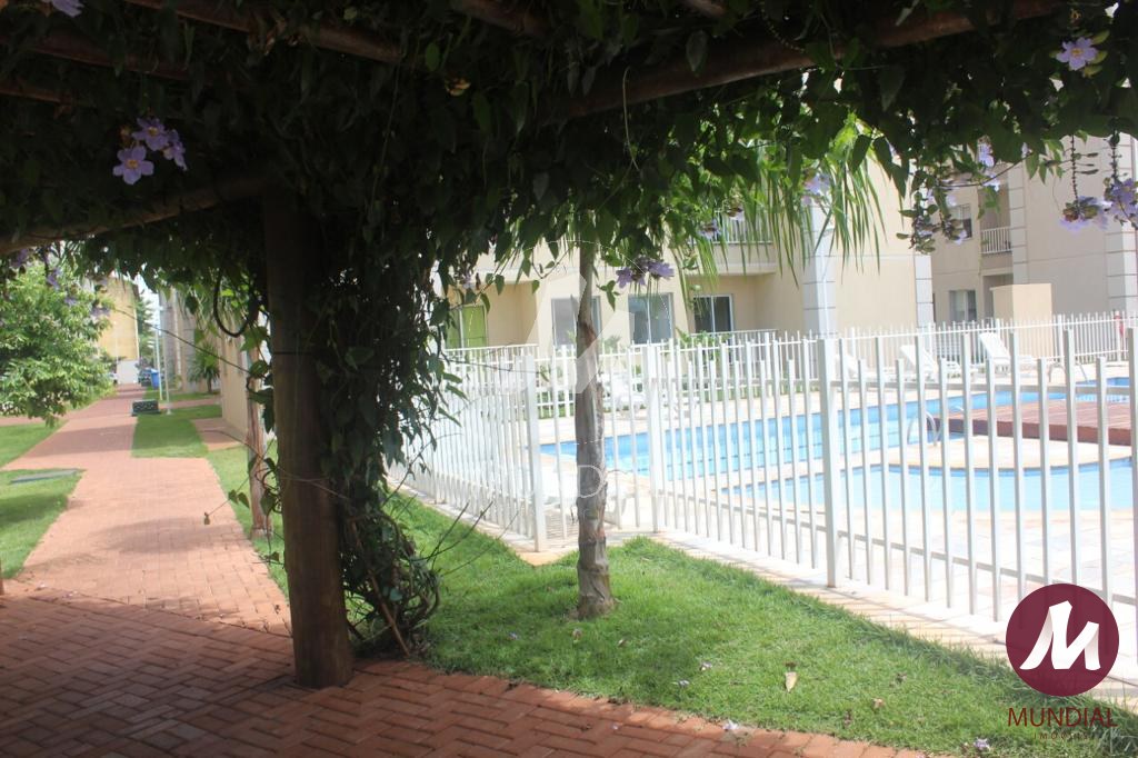 Piscina(s) — foto 13