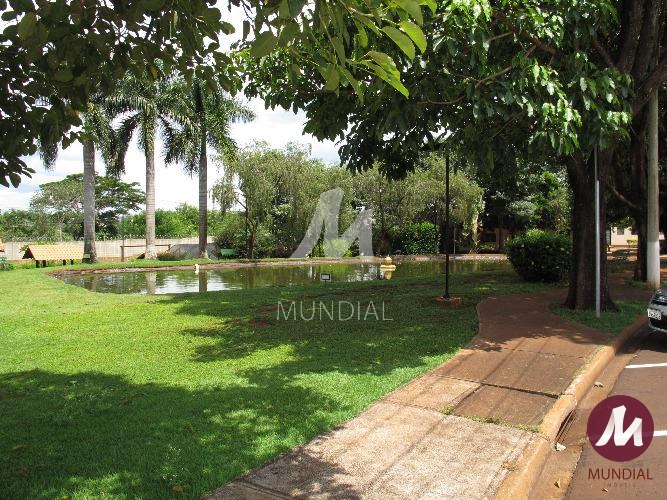 Lagoa — foto 2