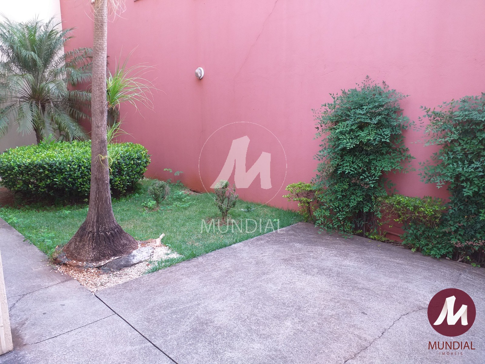 Jardim — foto 22