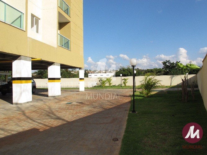 Jardim — foto 19