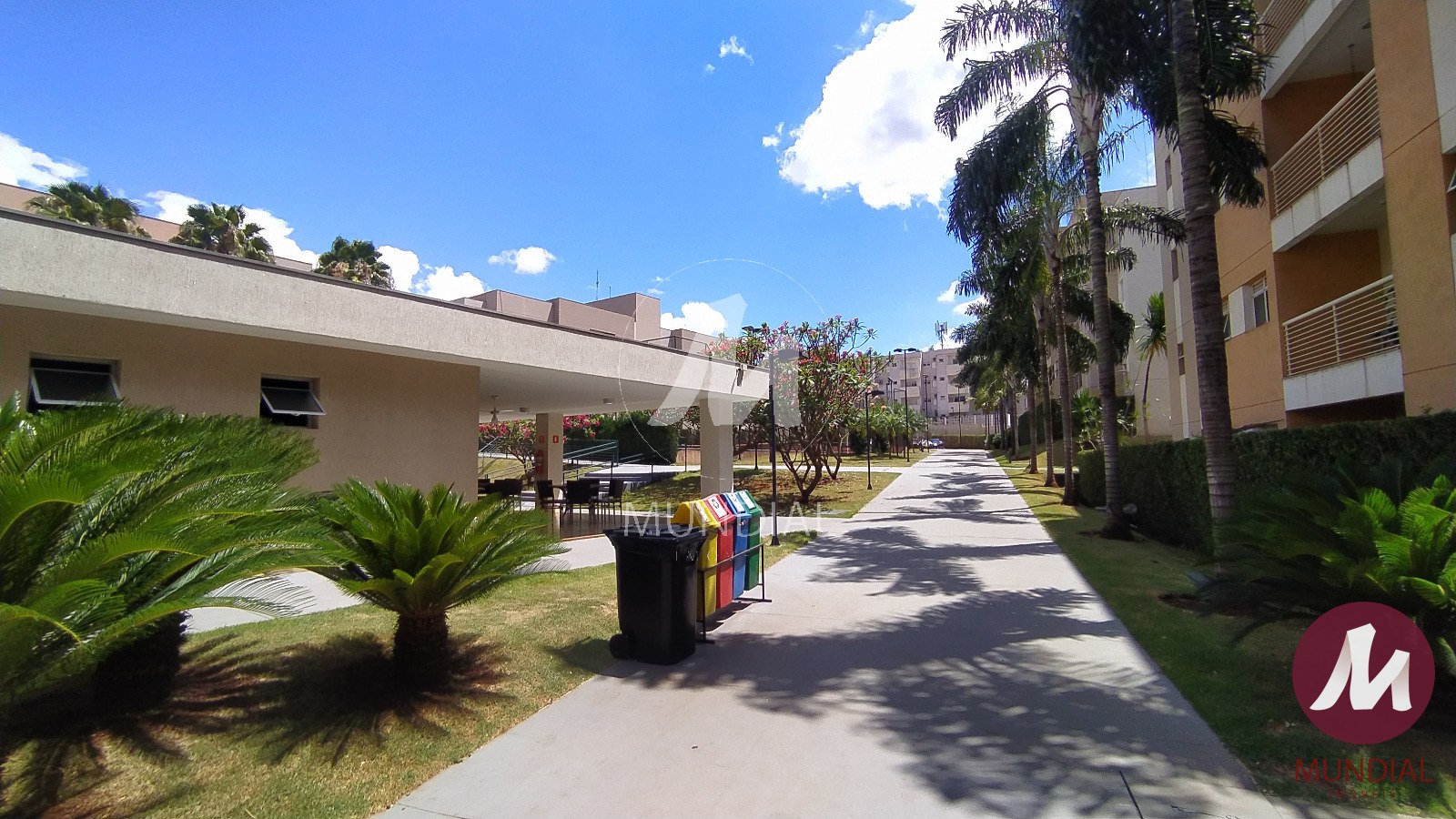 Outros — foto 19