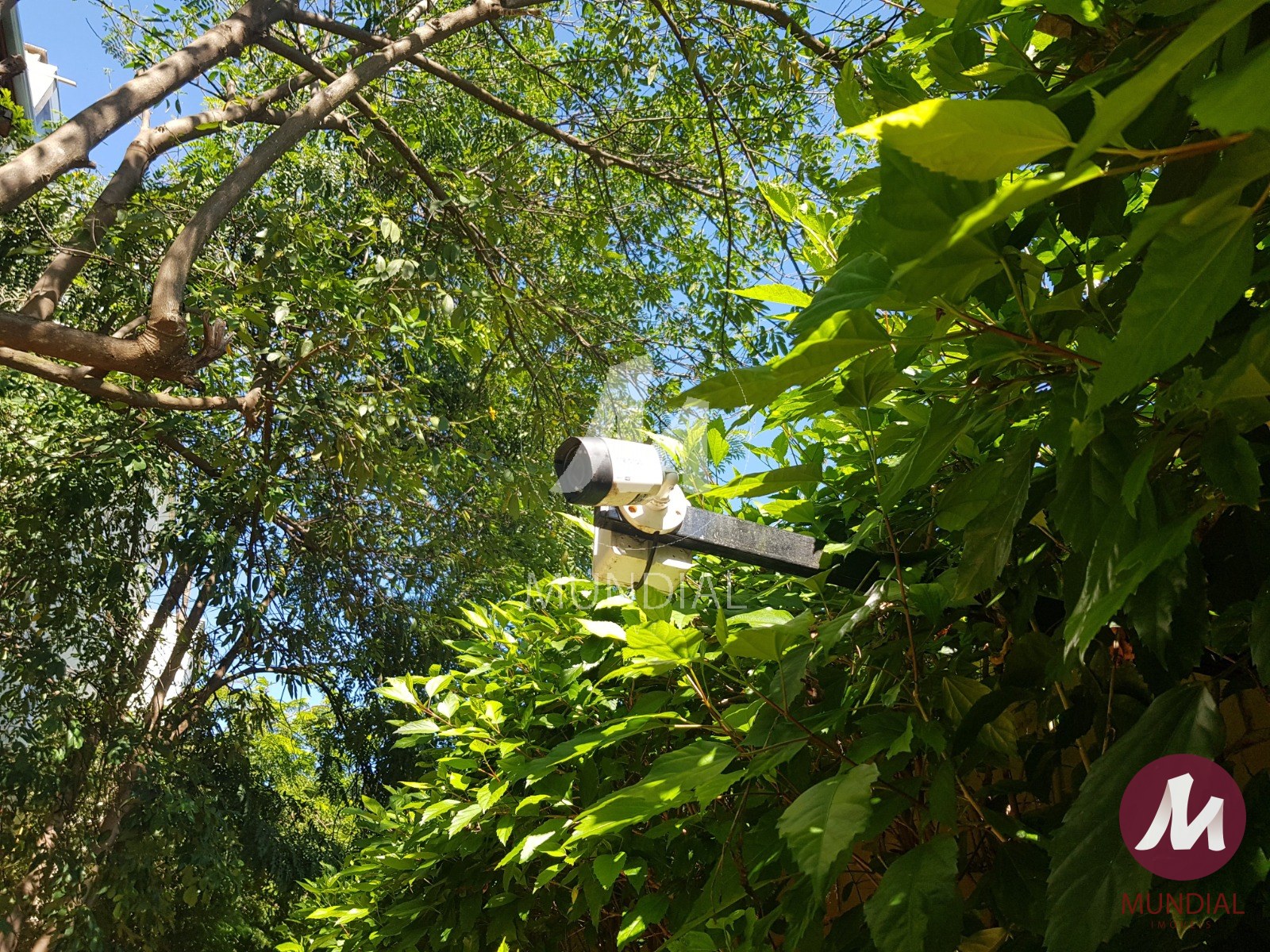 Outros — foto 25