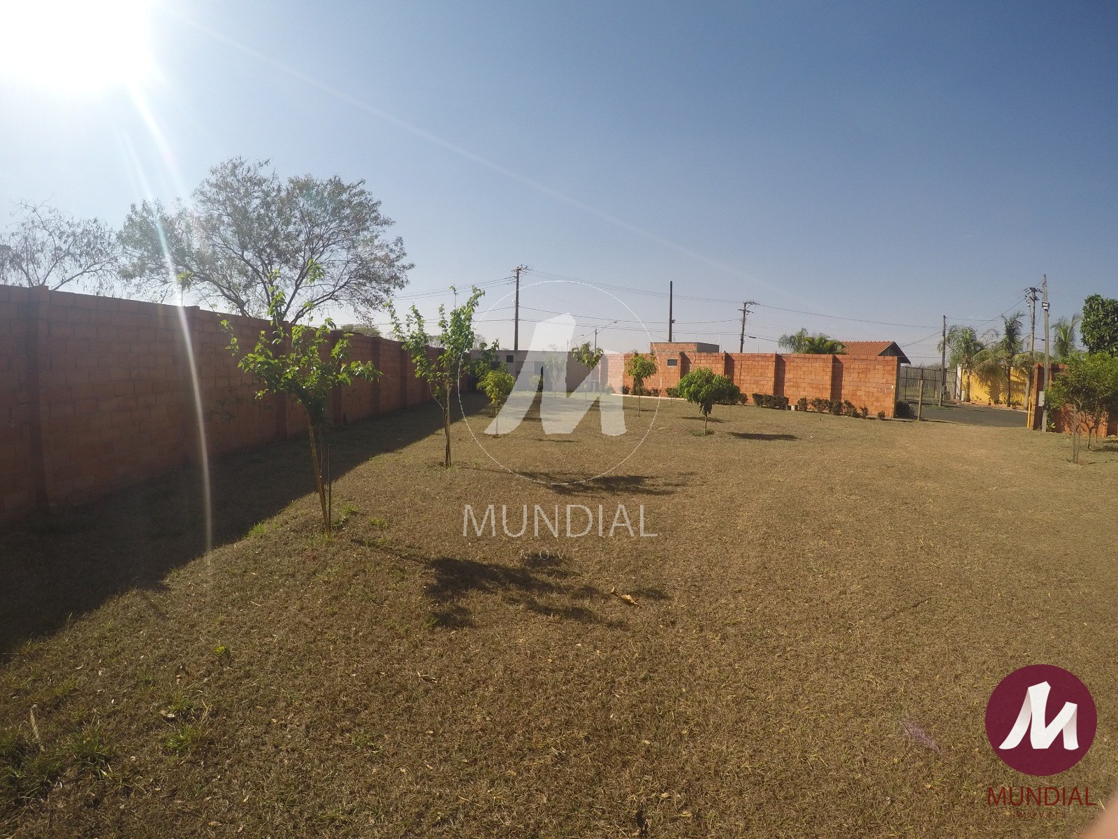 Jardim — foto 15
