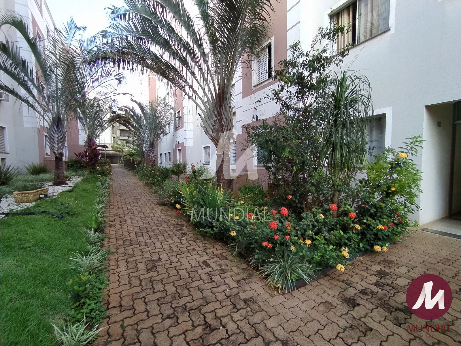 Jardim — foto 8