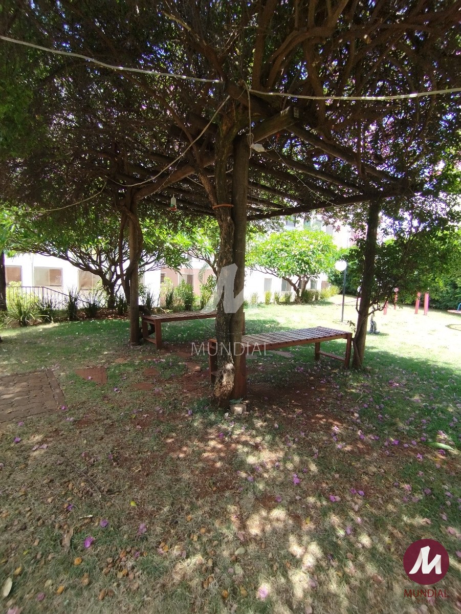 Lazer Condominio — foto 14