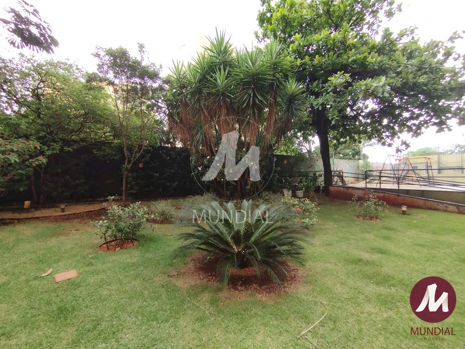 Jardim — foto 18