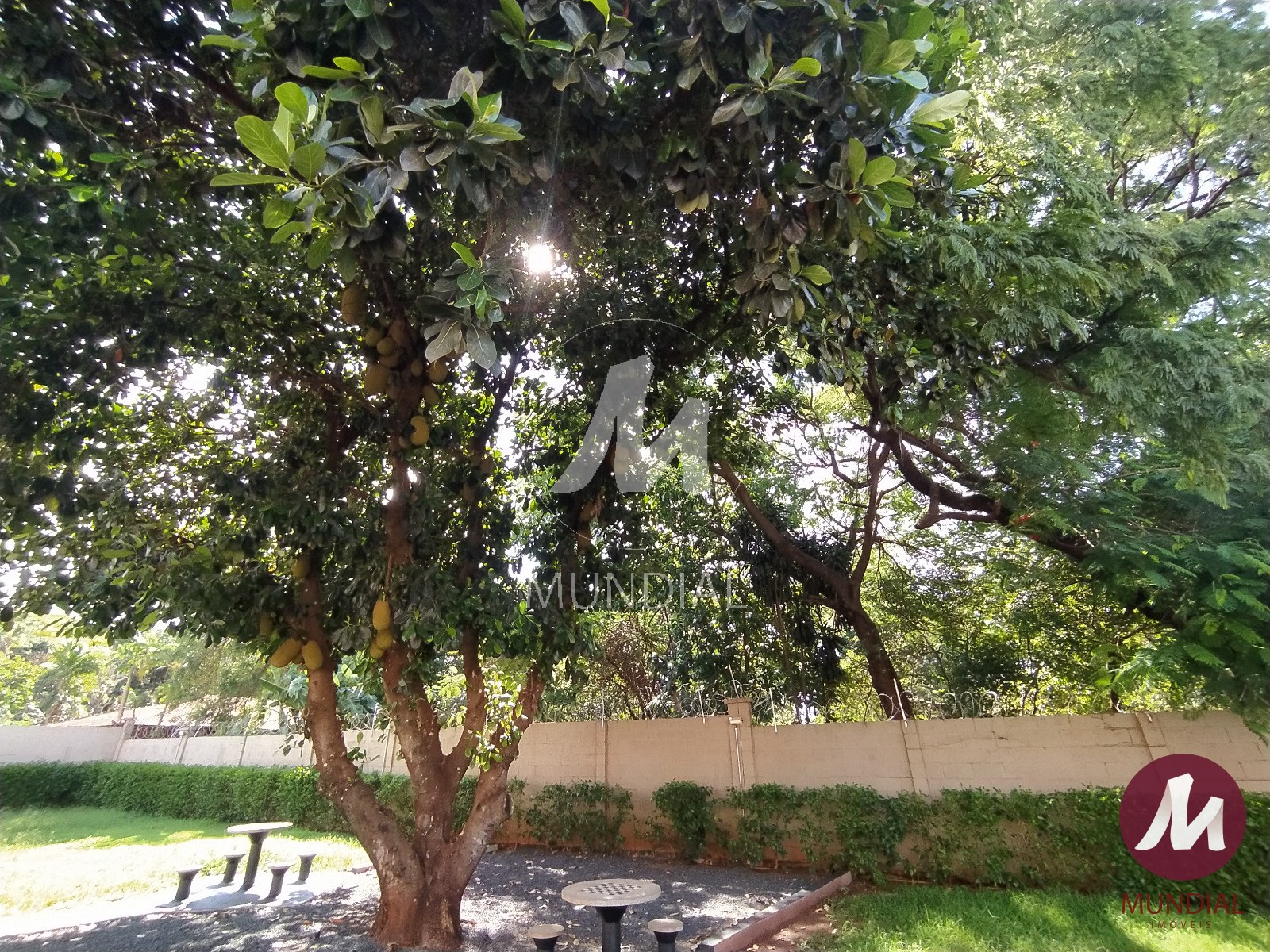 Lazer Condominio — foto 25