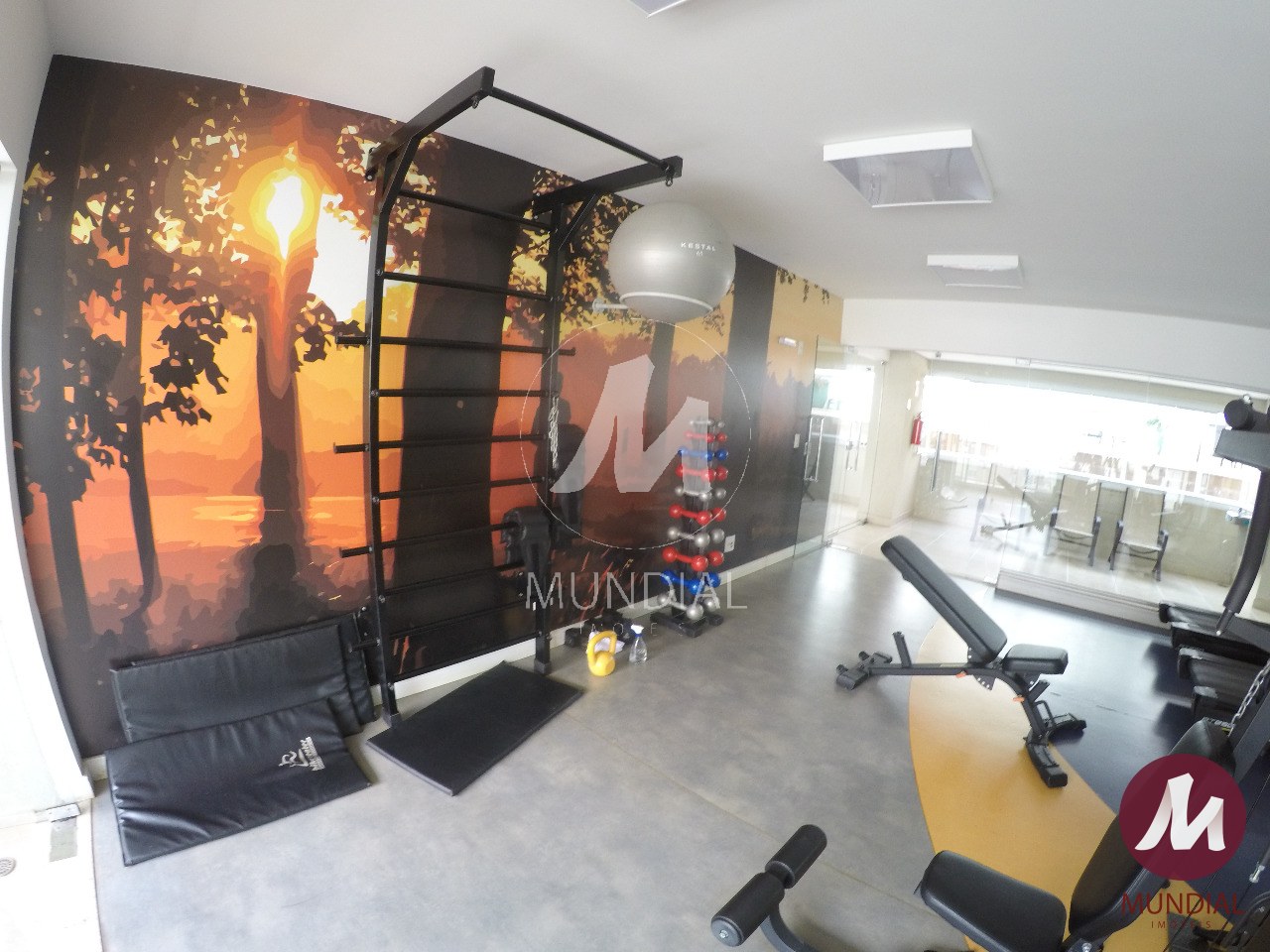 Fitness — foto 4