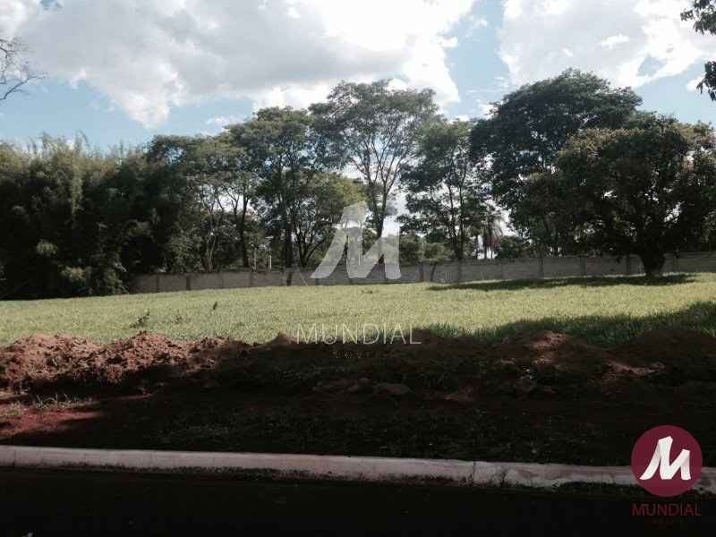 Outros — foto 4