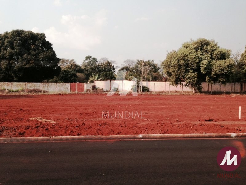 Outros — foto 9
