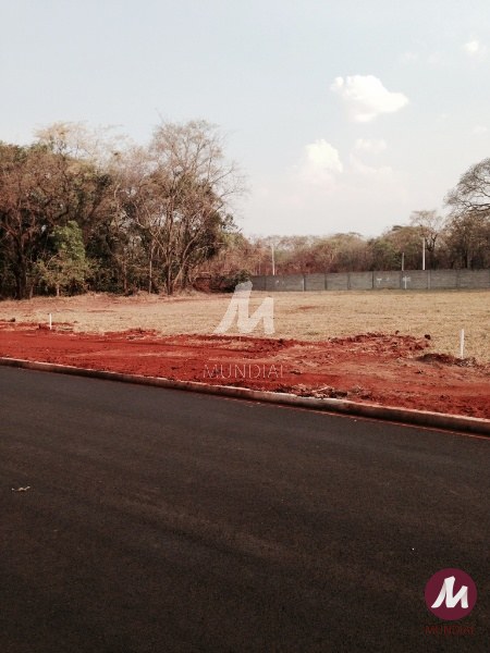 Outros — foto 10