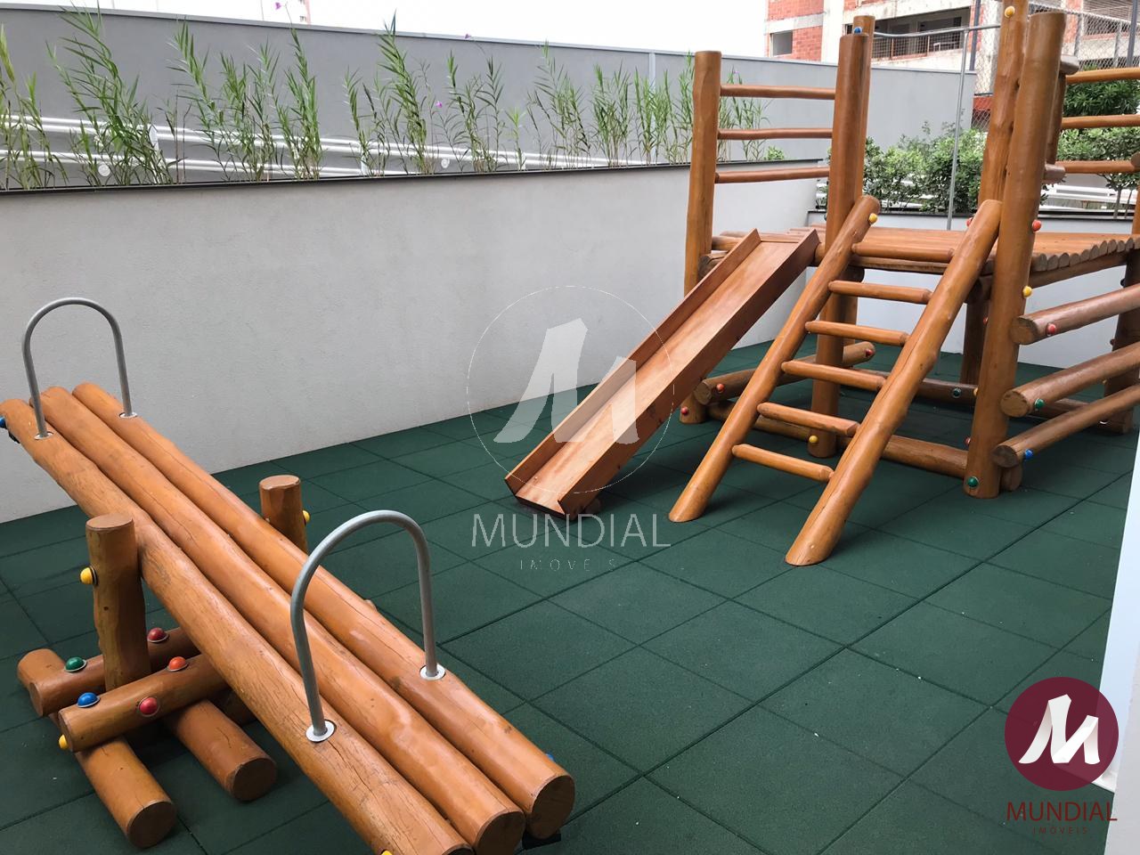 Planta — foto 29