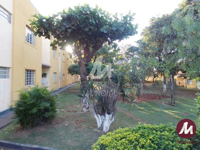 Jardim — foto 15