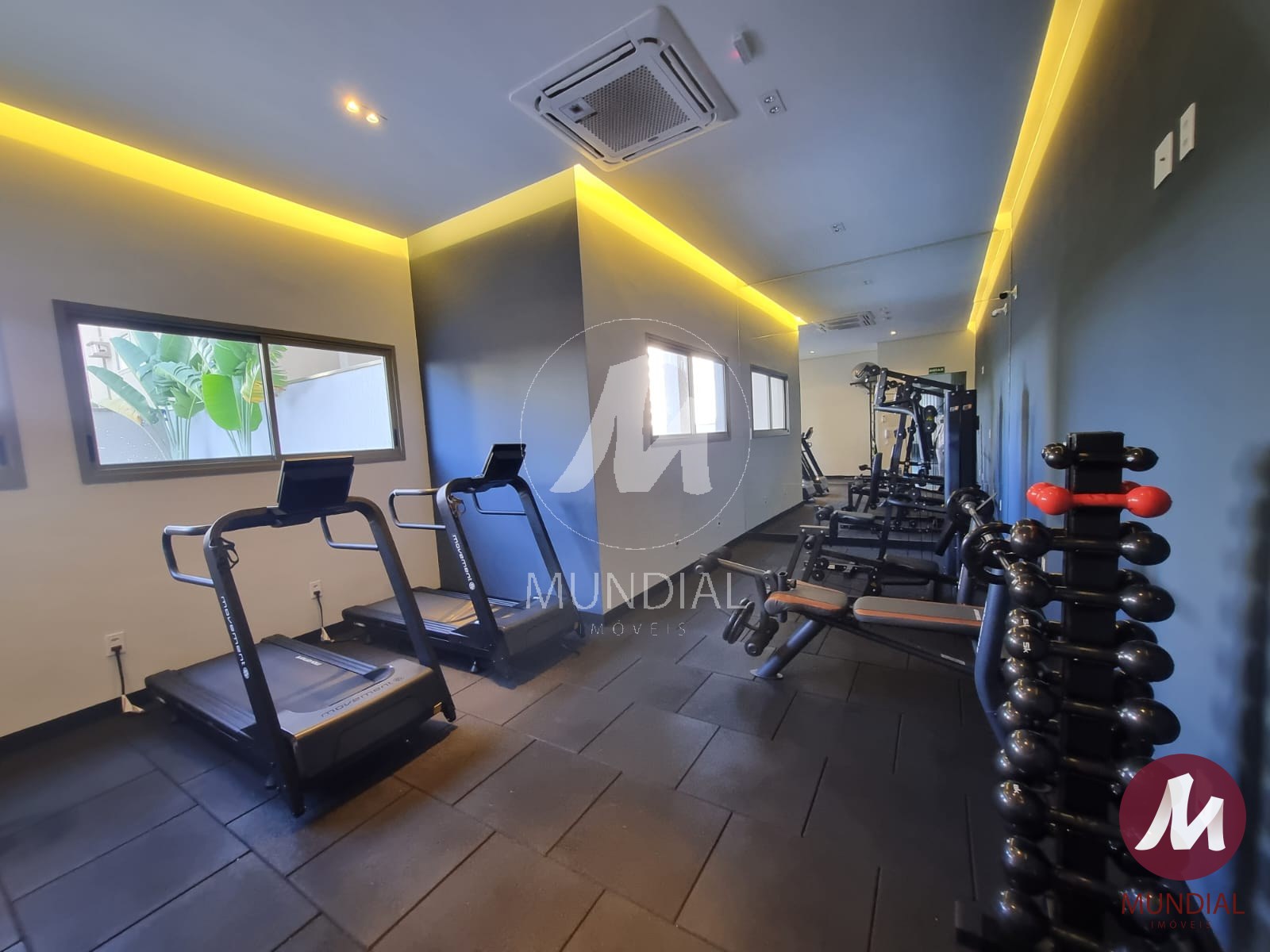 Fitness — foto 3