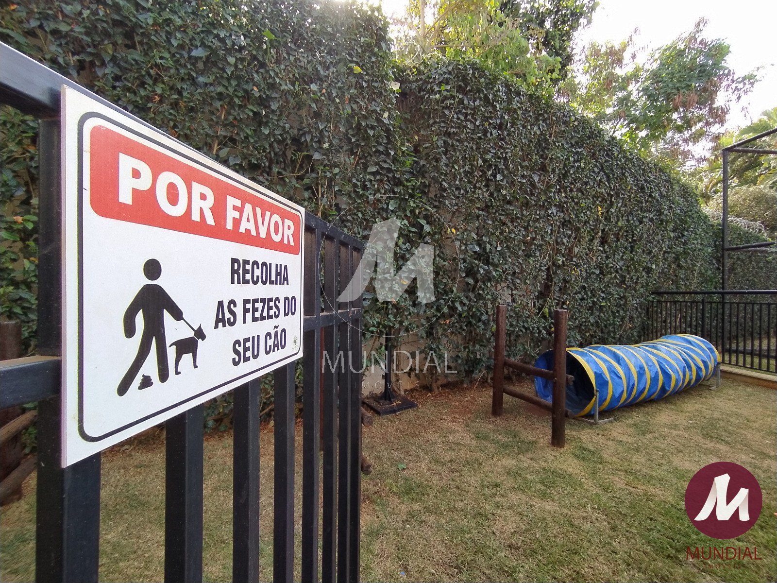 Outros — foto 10