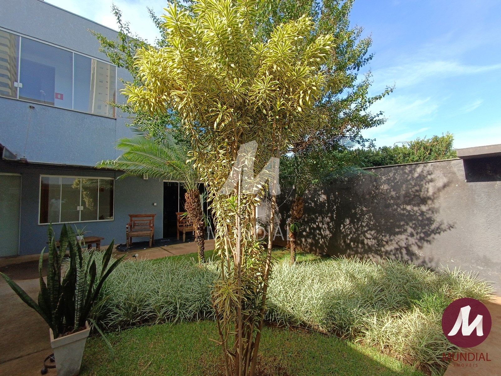 Jardim — foto 6