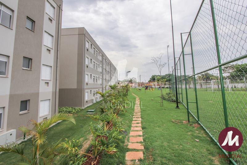 Campo Futebol — foto 14