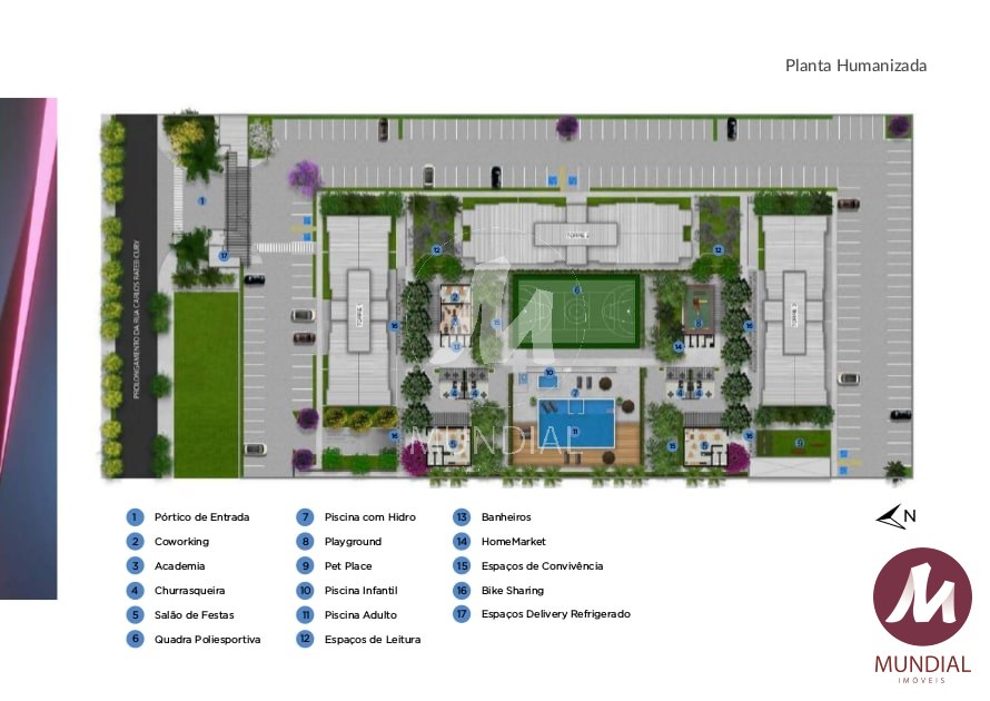 Planta — foto 27
