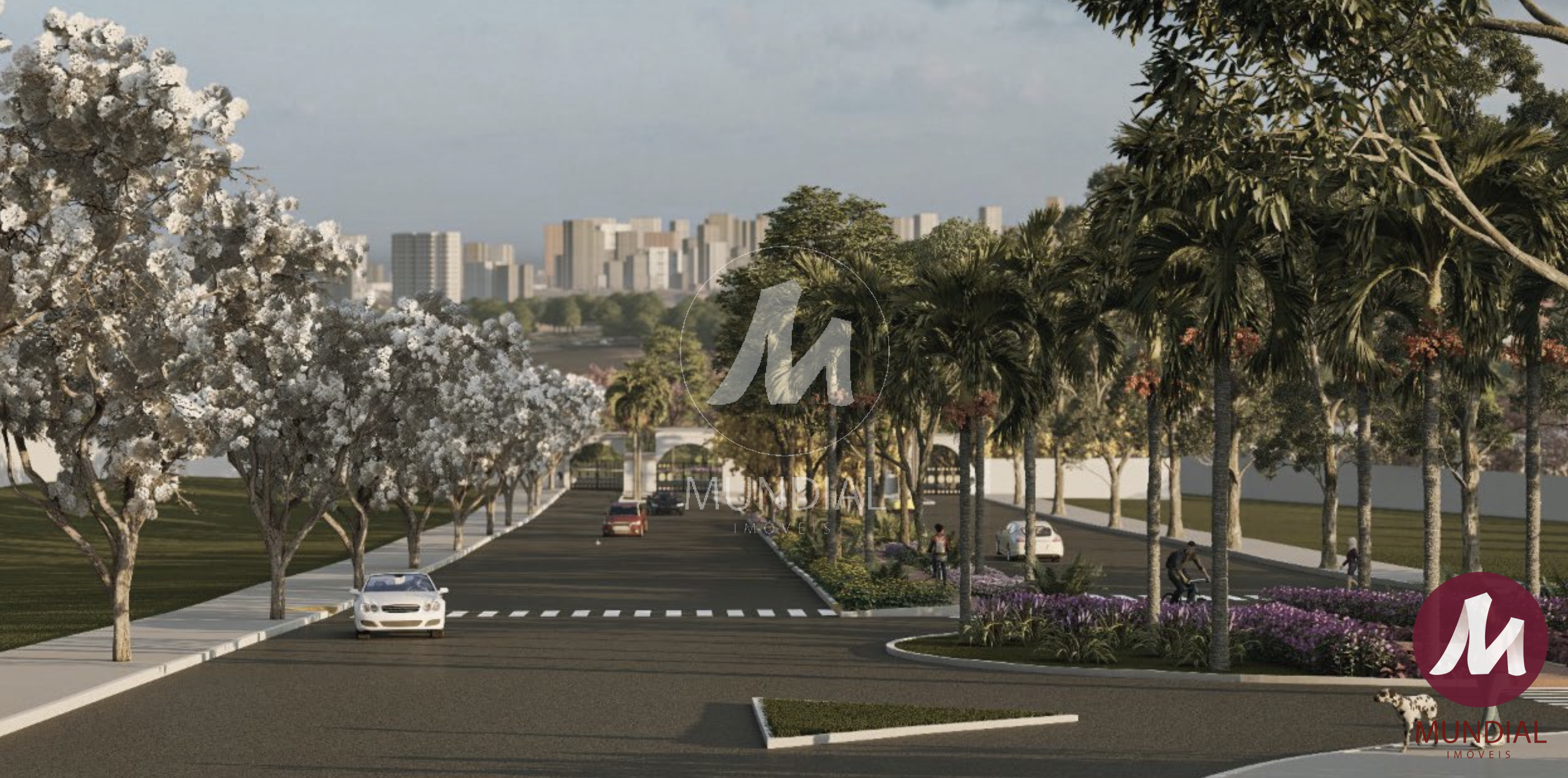 Outros — foto 5