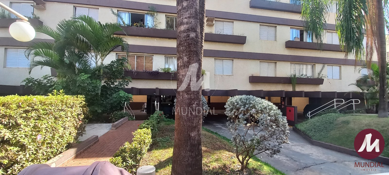 Jardim — foto 6
