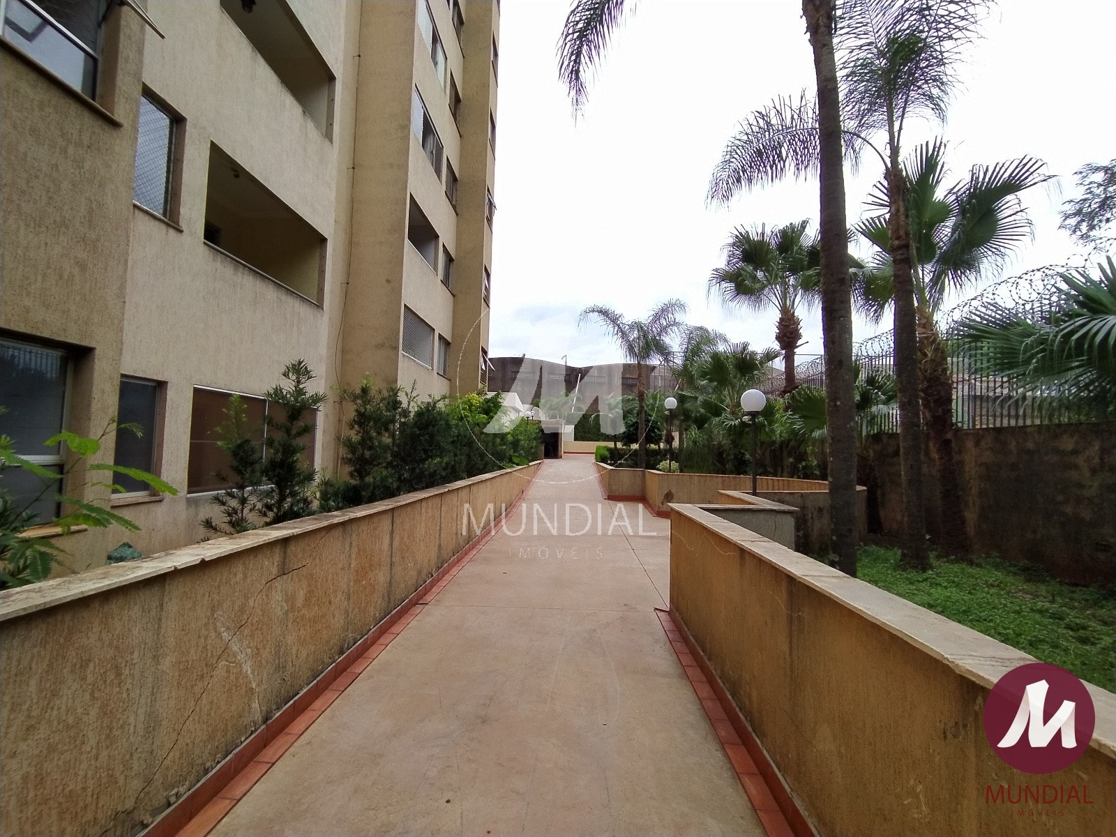 Jardim — foto 12