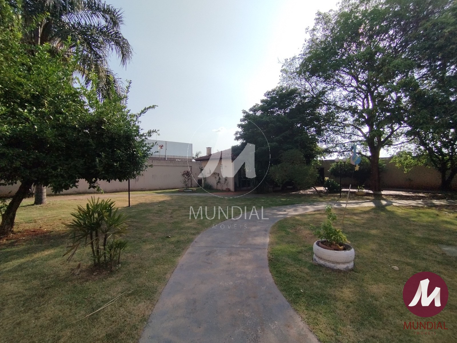Jardim — foto 19