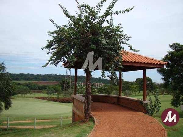 Campo de Golf — foto 5