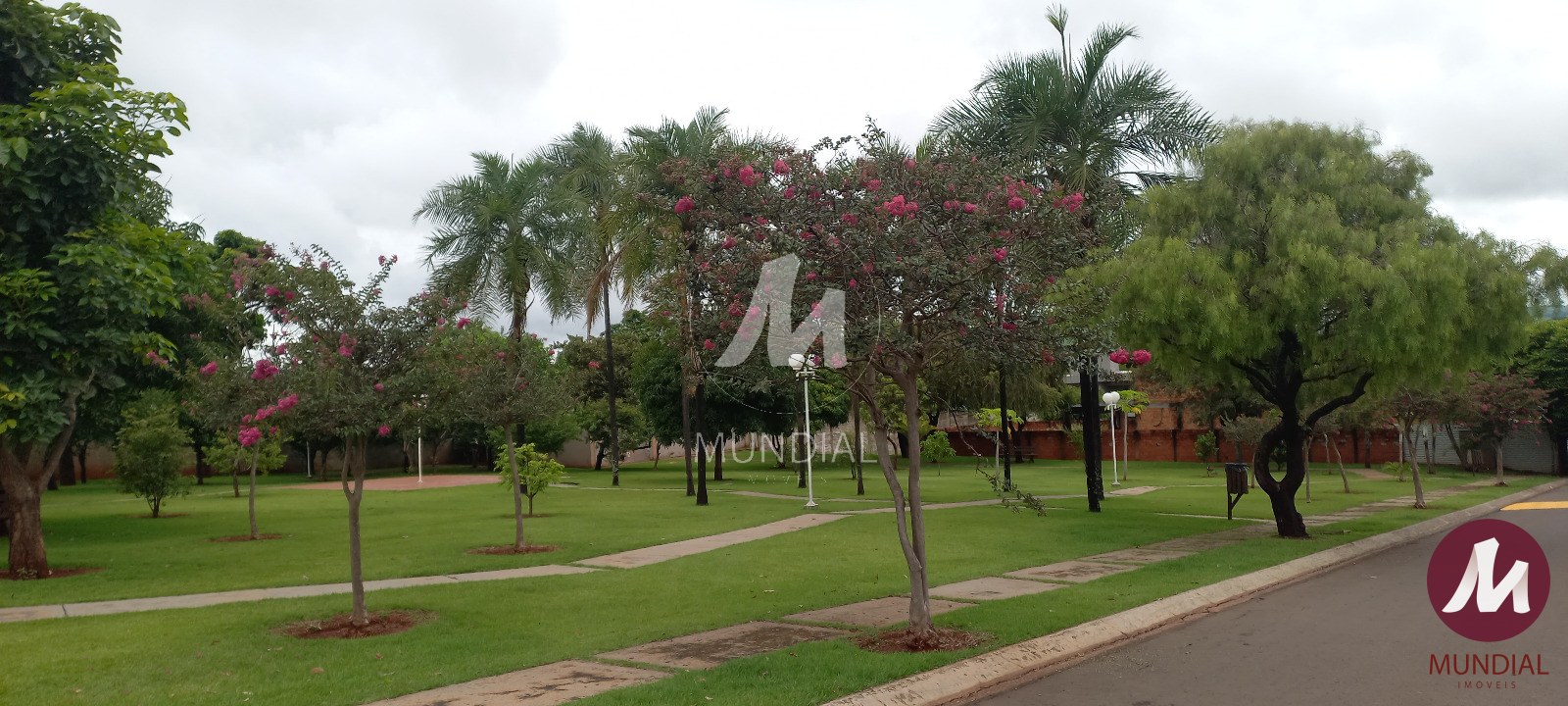 Jardim — foto 23