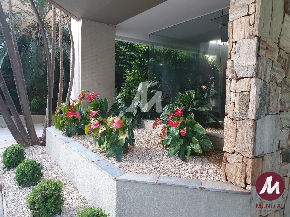 Jardim — foto 17