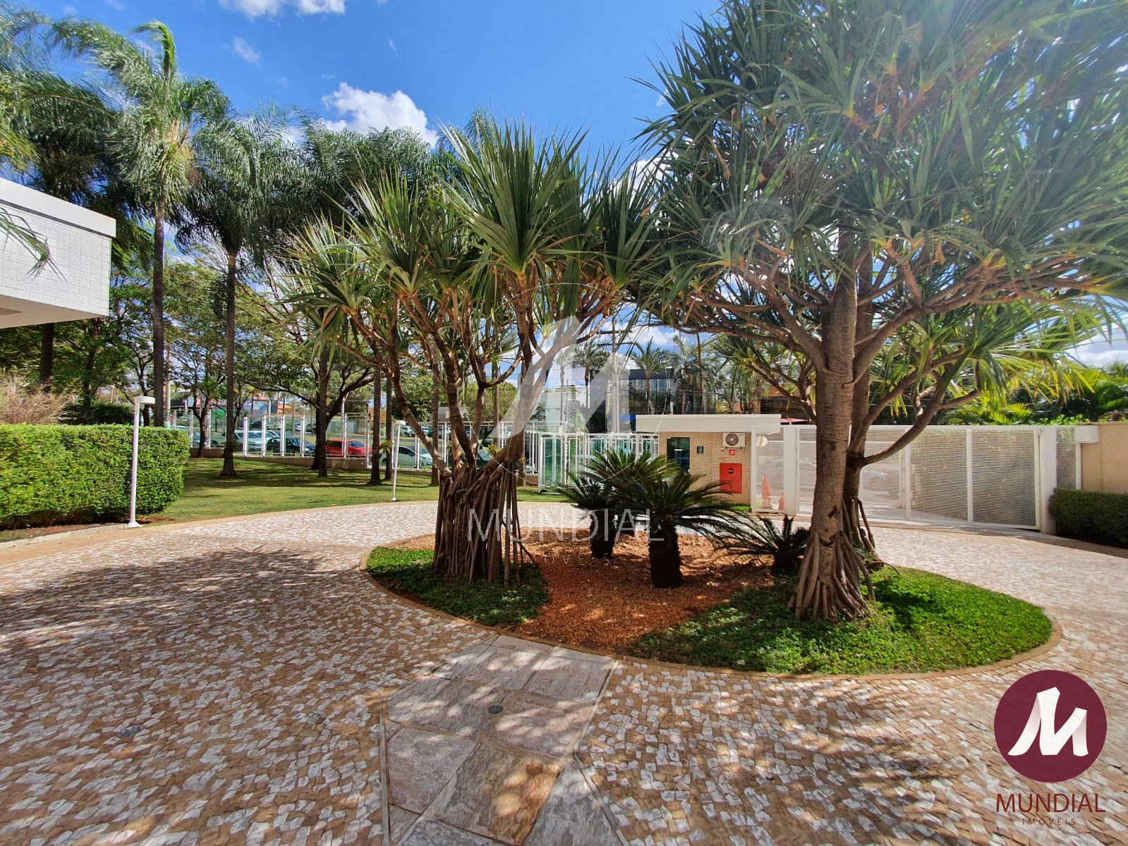 Jardim — foto 17