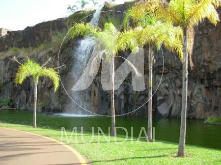 Bairro Jardim Botanico em Ribeirão Preto
