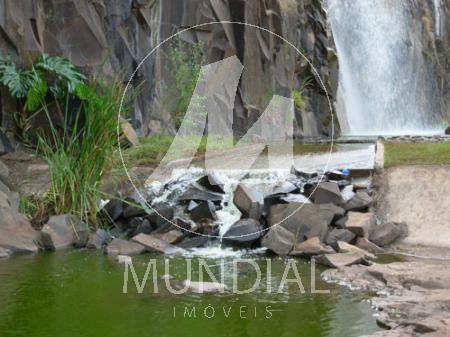 Bairro Jardim Botanico em Ribeirão Preto