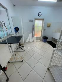 7 - Sala