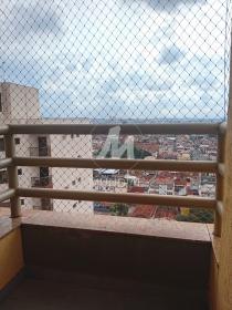 14 - Suite