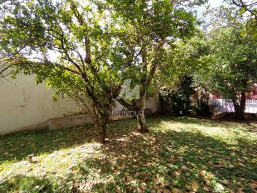 37 - Jardim