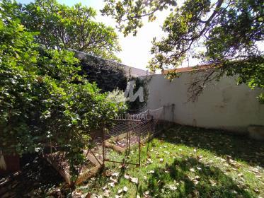 38 - Jardim