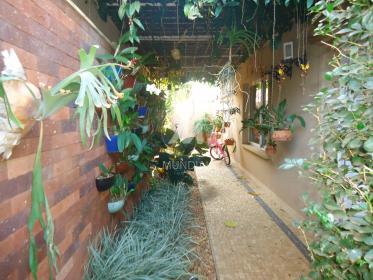 56 - Quintal/corredores
