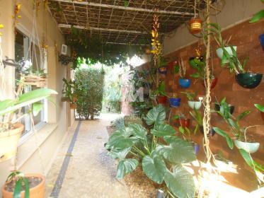 59 - Quintal/corredores