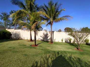 46 - Jardim
