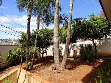 42 - Jardim
