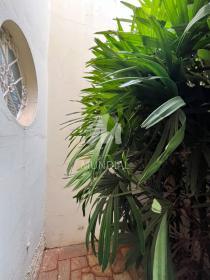 19 - Jardim